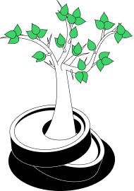 Earn and Plant